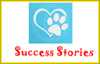 Success Stories