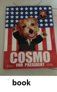 Cosmo book