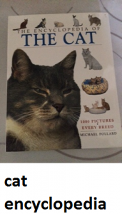 cat encyclopedia